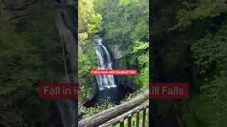 The Niagara Falls of Pennsylvania #shorts #travel #poconomountains