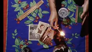 Aster Baby and the Wild Rabbits - Todos Santos (Visualizer)