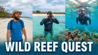 Explorando isla desierta de grandes acantilados