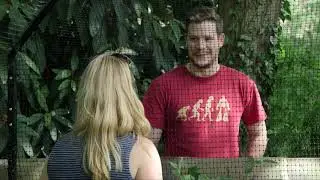 What Does ProtectaPet Cat Fencing Look Like?