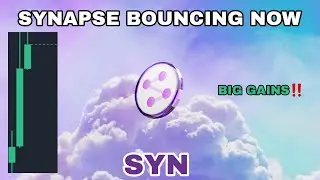 SYN COIN BOUNCING NOW IN JUNE 2024‼️ SYNAPSE BIG GAINS COMING‼️ SYNAPSE CRYPTO BUY BACK POTENTIAL