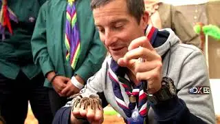 GLSW Scouts - Good team work means everyone playing their part