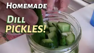 Papas Homemade Dill Pickles