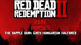 Red Dead Redemption 2 The Dapple Dark Gray Hungarian Halfbred