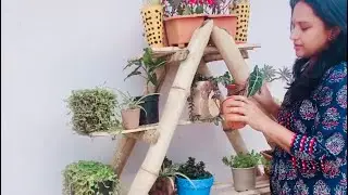 Bamboo plant stand #youtubeshorts #shorts #garden #lifewithgreensandcurry. #nature #nature #plants