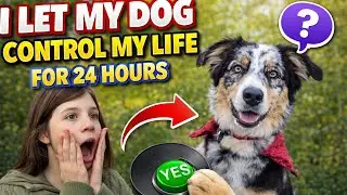 I let my dog control my life for 24 hours!