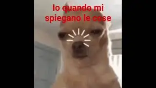 Io #memes #fuff