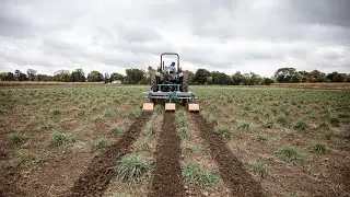 Walton Family Voices: Where Opportunity Takes Root