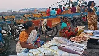 Vizag fishing harbour Tuesday evening live market 10/02/2026