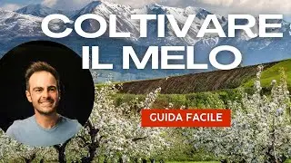 Guida alla Coltivazione del Melo