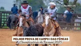 La Castellana Quebra Luz • Melhor Prova de Campo I das Fêmeas na Classificatória do Paraná 2025 