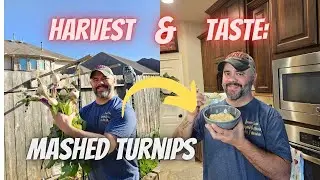 Do You Like Mashed Turnips? Will I? Let's Find Out Together || DHBG
