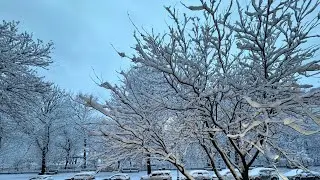 Winter Wonderland Walk Through Snow-Covered Prospect Park Brooklyn, New York &bull; ASMR February 17