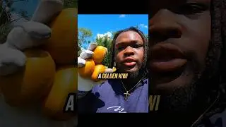 Нелегальные золотые киви 🥝