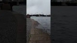 САНКТ-ПЕТЕРБУРГ РЕКА НЕВА #шорт #peterburg #travel #топ #music #музыка #peterburg #шорт #travel #