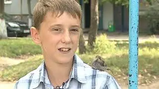Ручной воробей