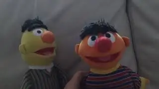 Bert 'n' Ernie - Work It Out Wombats or Lyla in the Loop?