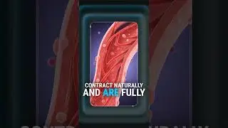 88. 🫀 Growing Whole Human Arteries From Cells