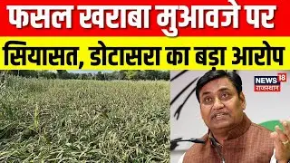Dotasara On Farmer : फसल खराबा मुआवजे पर सियासत, क्या बोले डोटासरा? | Rajasthan Farmer | Congress