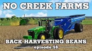 Back Harvesting Beans -  No Creek Farms - FS19 Episode 56