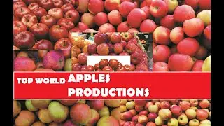 Top World Apple Area Harvested (Hectare)|Food Agriculture Organization Time Series