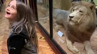 Pip & Bean visit Tring Museum