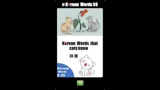 Korean word, Korean language, get out in korean, Learn Korean, cat bath, study Korean, talking cat