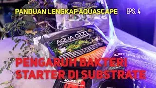 Substrate Aquascape - Episode 4