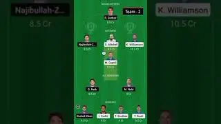 Nz vs Afg Dream 11 team | new zealand vs afghanistan