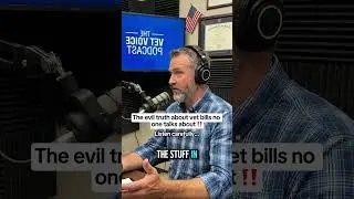 The evil truth about vet bills no one talks about!! #dog #podcast #doghealth #usa #fyp #foryou