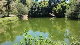 Monitoramento dos tanques dos peixes