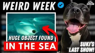 Non-Human Technology in the Baltic Sea, 3I/ATLAS & Suki's Last Show (for now!) WEIRD WEEK!