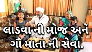 લાડવા ની મોજ અને ગૌ માતા ની સેવા .village cooking channelvillage cookingfarmer lifestylefarmer life