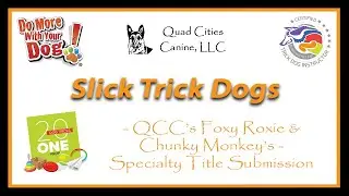 20 Dog Tricks One Prop - Roxie & Chunk