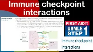 Immune checkpoint interactions in Hindi/Urdu by first aid for USMLE step 1