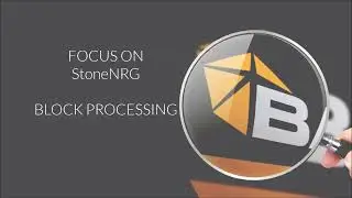 FOCUS ON StoneNRG BLOCK PROCESSING