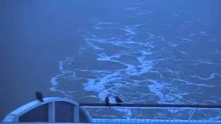 Silja Galaxy arrives in Turku