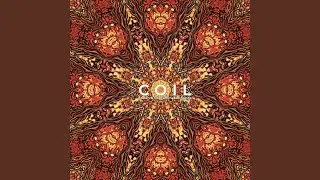 Who'll Fall