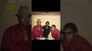 The original Harlem World crew. MC Son of Sam, MC Charlierock, DJ Kool D, DJ Randy 78-85 legendary