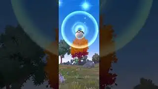 Frigibax Field Research Tasks & Rewards