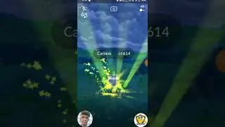 Getting like with😱 CARBINK In Pokemon Go,#pokemon,#pokemongo,#shorts,#pokemonshorts,