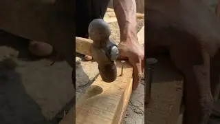 🌳⚙️ From forest to foundation &mdash; real work starts here&hellip;#TreeCutting#BigTree#WoodCutting #shorts