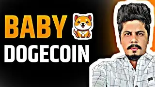 Baby Dogecoin Update