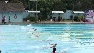 iro 50m kupu Krassi Jogja