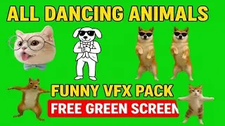 ALL Dancing Animals Green Screen |Funny Cat & Dog Dance Animation VFX | NO copyright