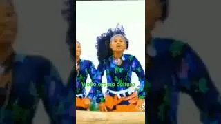 wollo oromo culture
