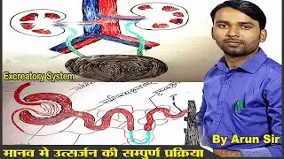 Excretory System/Nephron/Kidney/उत्सर्जन तंत्रlवृक्क की संरचनाl मूत्र निर्माण/Khan sir/ in hindi