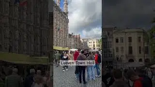 Lueven town hall #lueven #belgium #viral