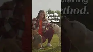 Работа из дома, мотивация для бизнеса, мотивационное видео.