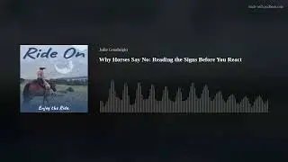 Why Horses Say No: Reading the Signs Before You React